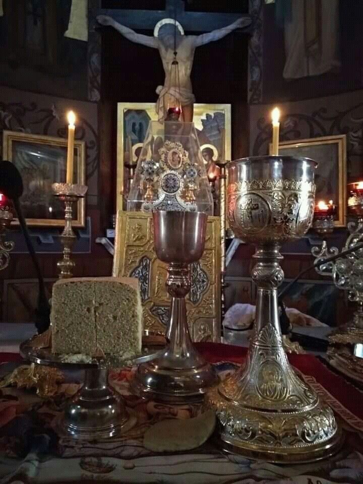 Mest Nick🪩🪩 tweet media