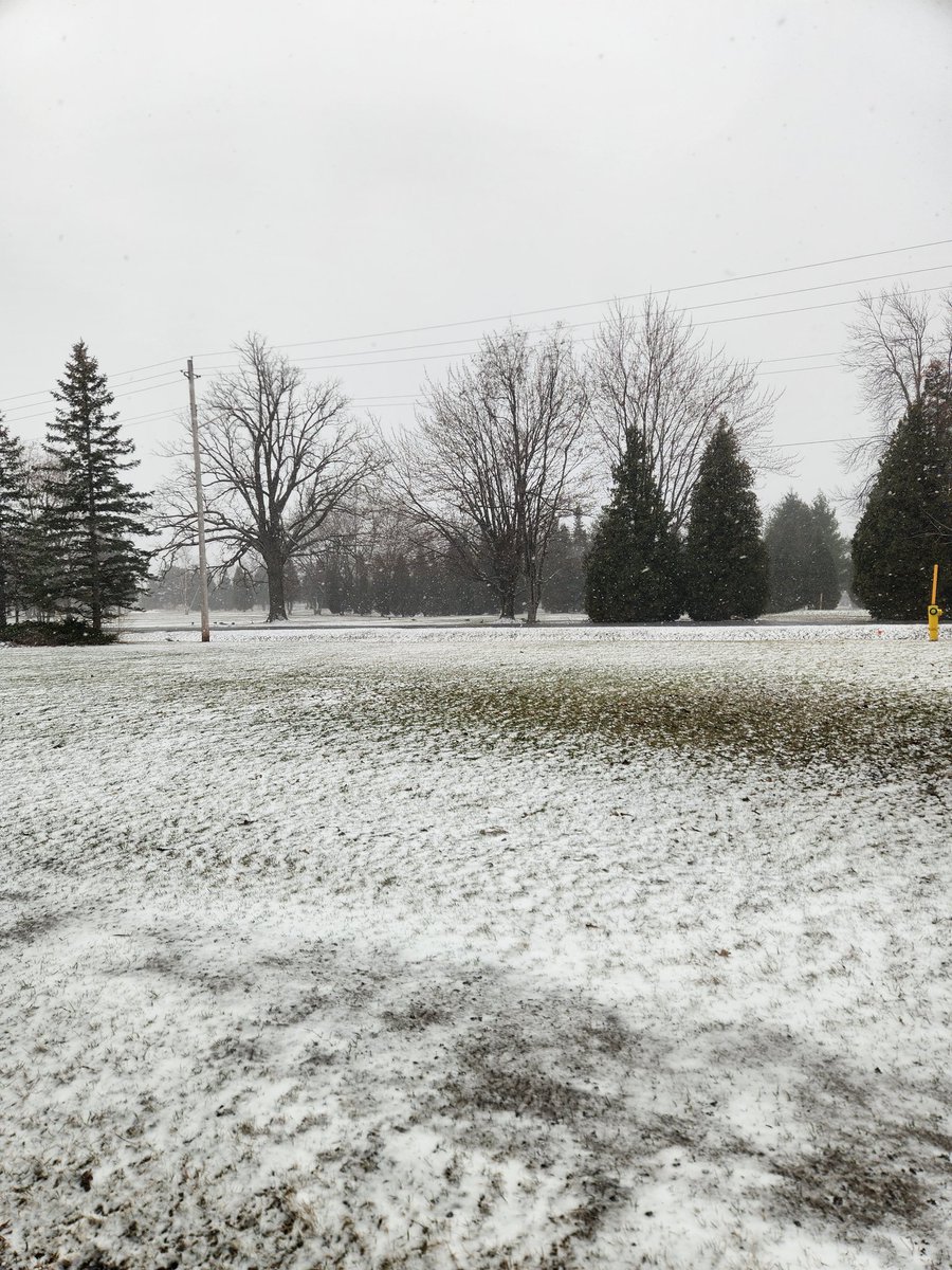 𝔖.ℑ.ℜ. tweet media