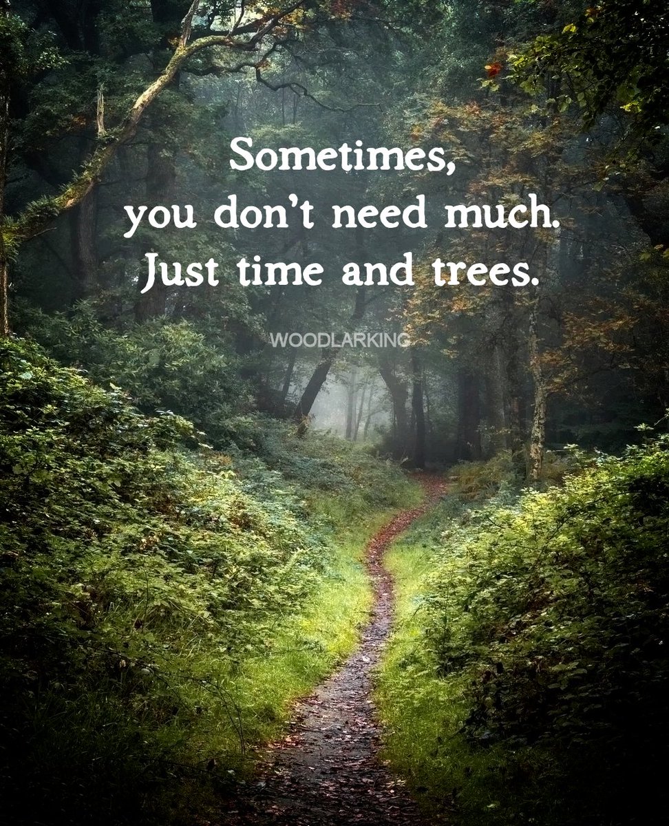 Inspiration & More tweet media