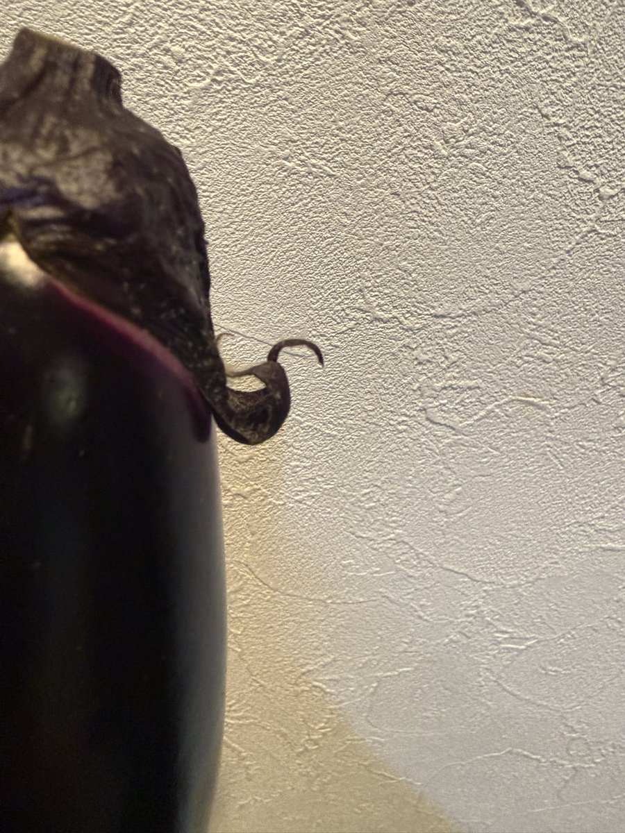 🟦金丸夢子🟦 tweet media