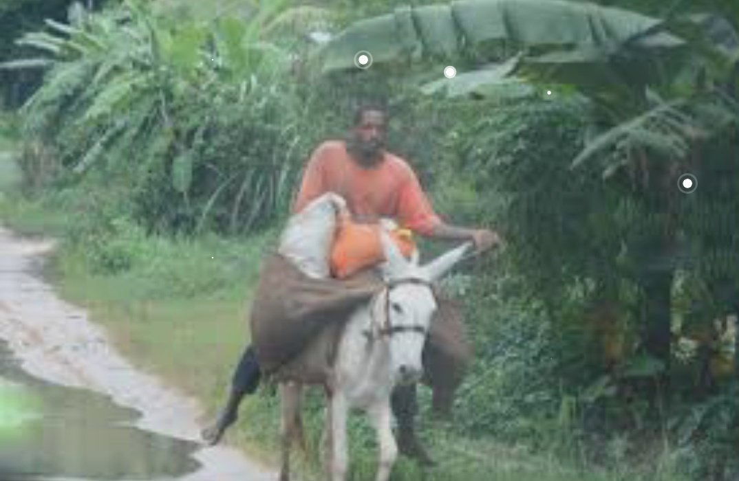 PàChâ#1738 💫 tweet media