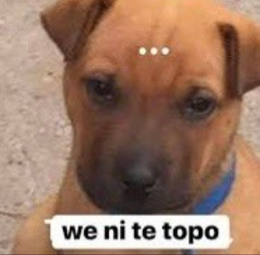 Alicia G. tweet media