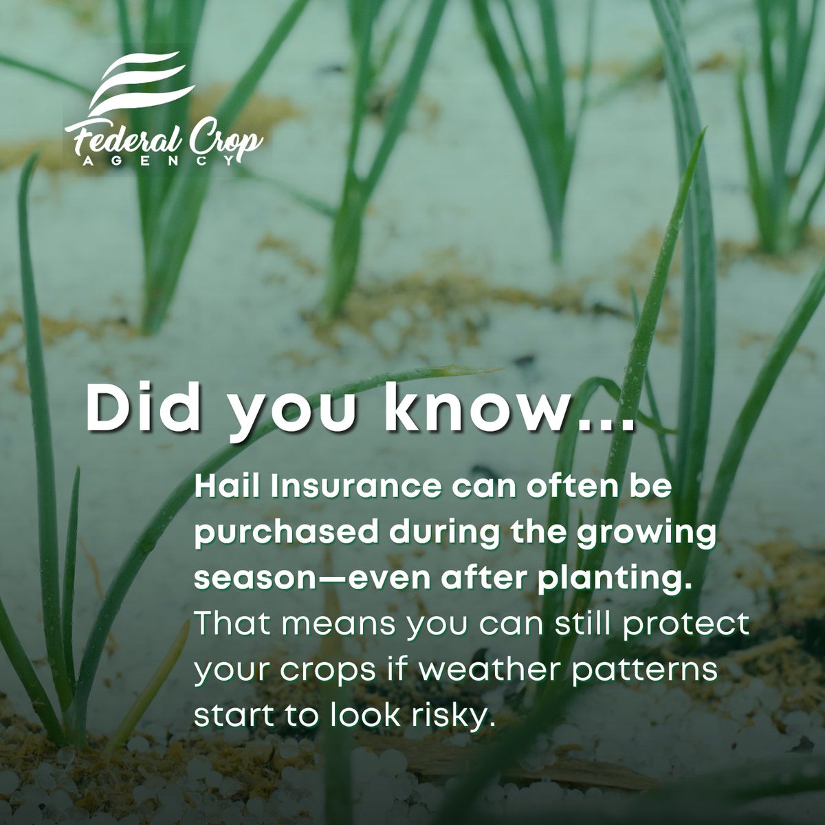 Federal Crop Agency tweet media