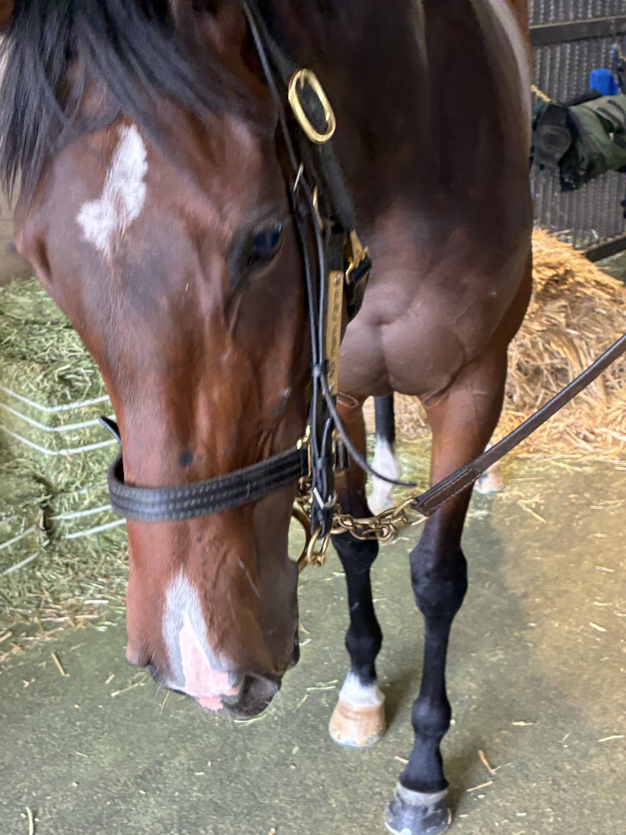 おやおやー tweet media