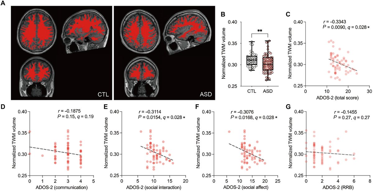 ScienceAdvances's tweet image. Copper deficiency impairs brain development in mice by suppressing mTOR, a protein enzyme that controls cell function, a new study finds. 

Insufficient copper correlated with increased severity of social symptoms in autism spectrum disorder. scim.ag/4tzmqcF
