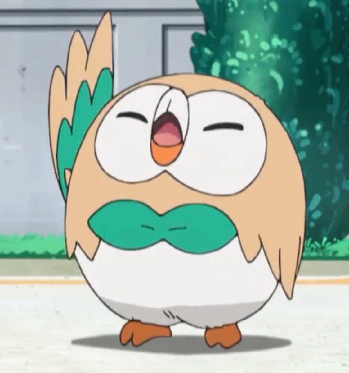 せさめ tweet media