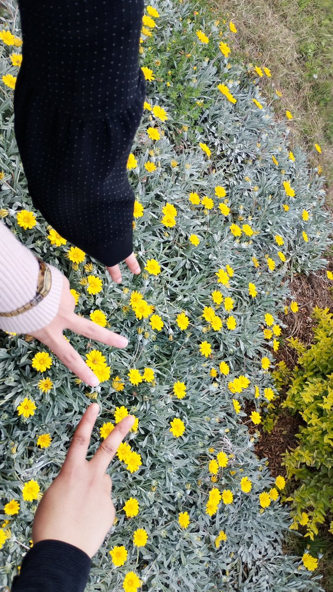 مَرْيَــمْـ𓂆 tweet media