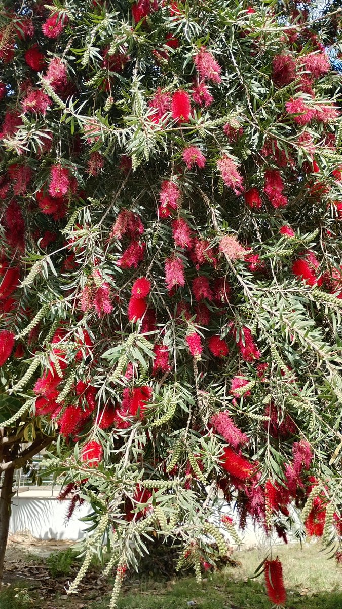 مَرْيَــمْـ𓂆 tweet media