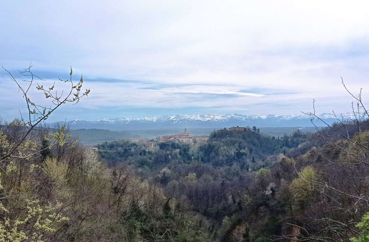 luca_bergamasco's tweet photo. Nice view. #landscape #Roero https://t.co/EzcZeRGNNv