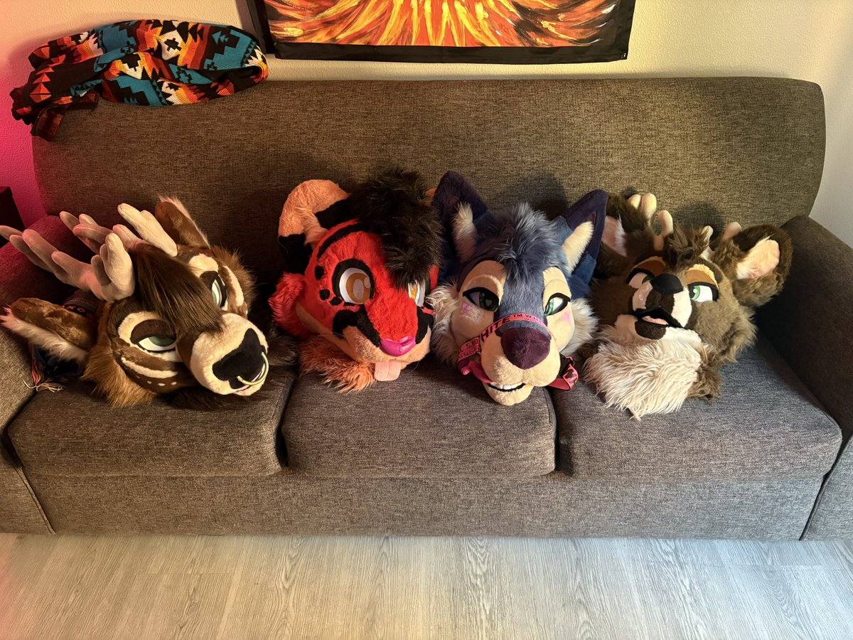 DWUH?? 🔜 LVFC tweet media