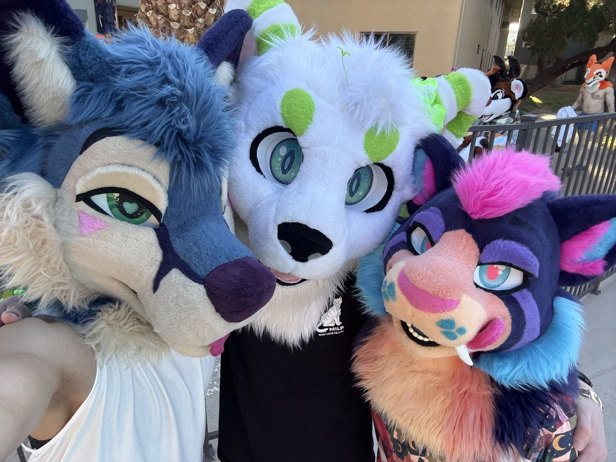 DWUH?? 🔜 LVFC tweet media