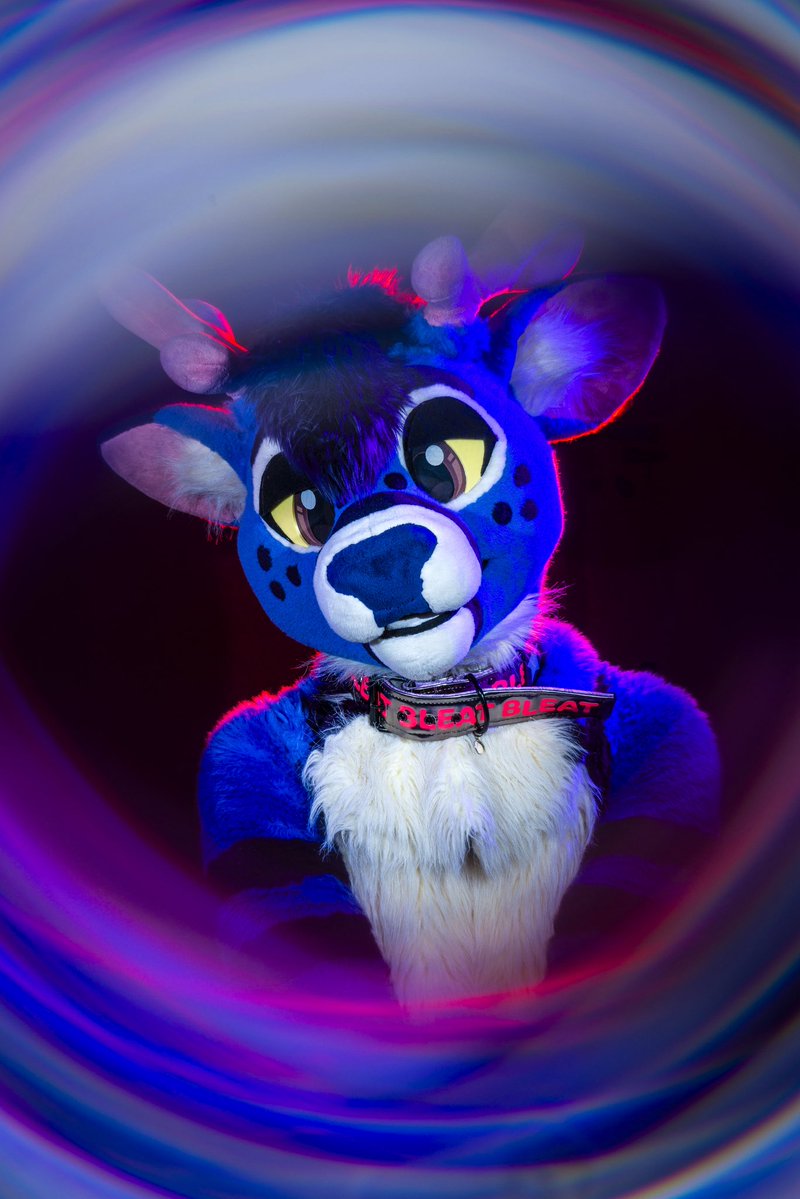 Dire Walf tweet media