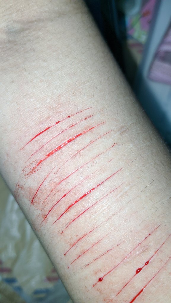 aoi | shedtwt tweet media