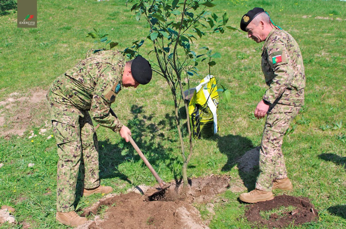 Exercito_pt's tweet photo. 🌳 Por um futuro mais sustentável 

🤝 Ações ambientais, espírito de equipa e compromisso com a sustentabilidade marcaram as comemorações do Dia Mundial da Árvore no Exército 🇵🇹

Desde sempre a honrar Portugal! https://t.co/hZAtAa1iBZ
