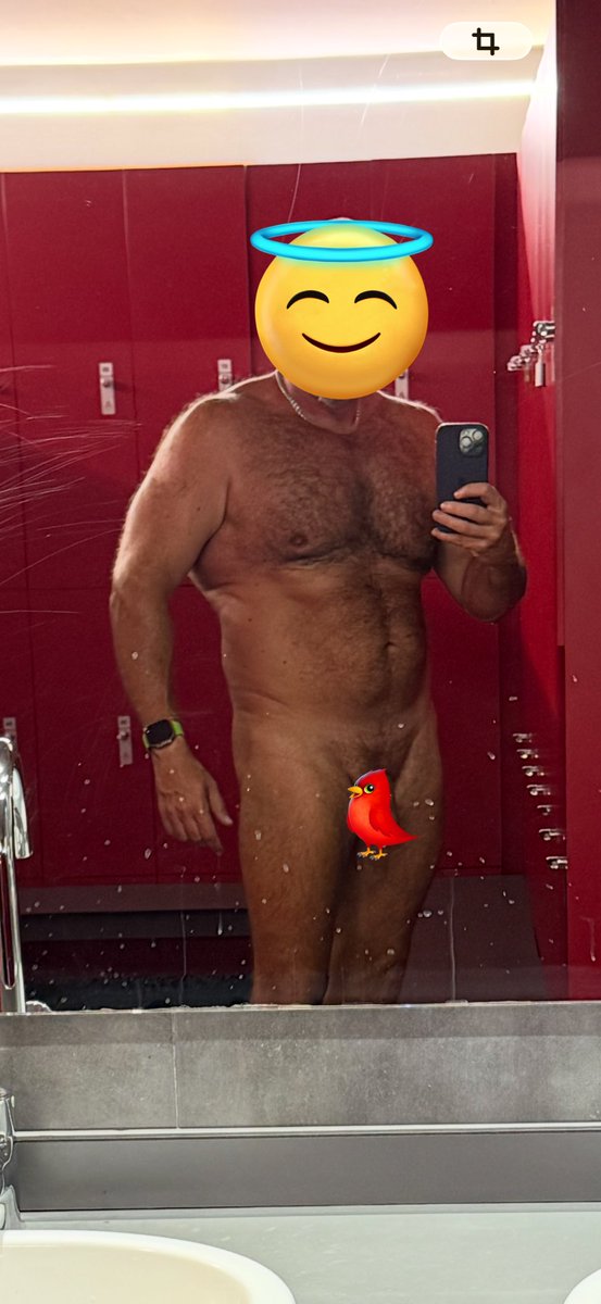 Pelolo tweet media