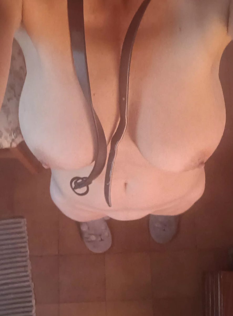 gata lua tweet media