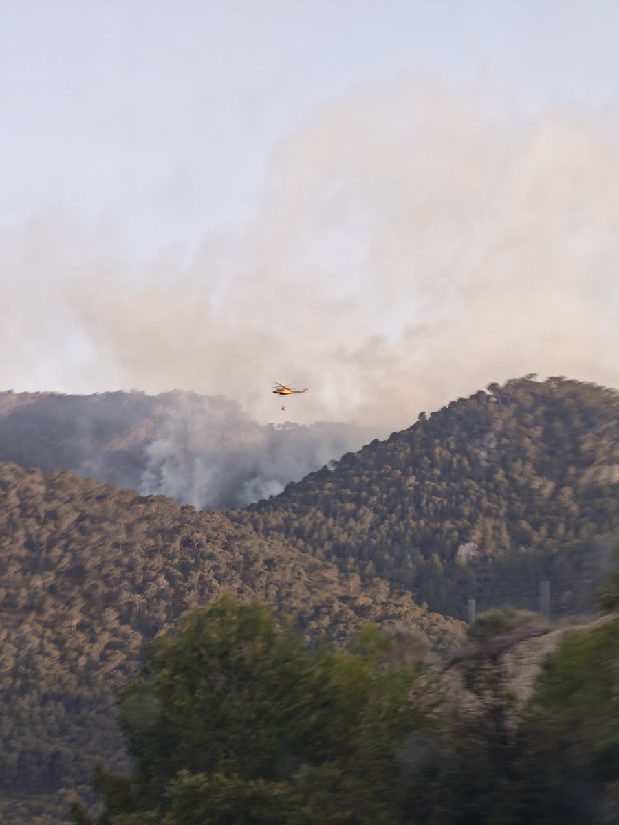 JesusMesas's tweet photo. @VOSTcvalenciana Muy pocos medios de extincion en la zona... https://t.co/VWDXmodLLV