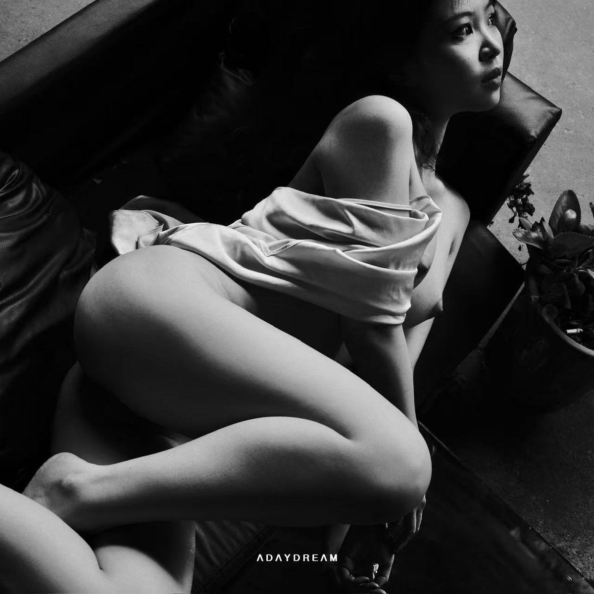 Adaydream tweet media