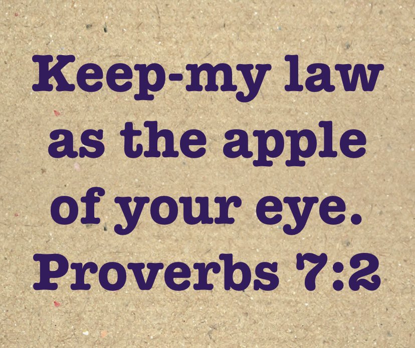 ChrisannDawson's tweet image. Does #Wisdom put a sparkle in my eye &amp;amp; a spring in my step? ✨ ✨✨
🌷🌷🌷🌷🌷🌷🌷🌷🌷🌷🌷🌷🌷