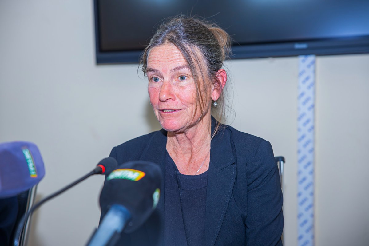 PNUD MALI tweet media