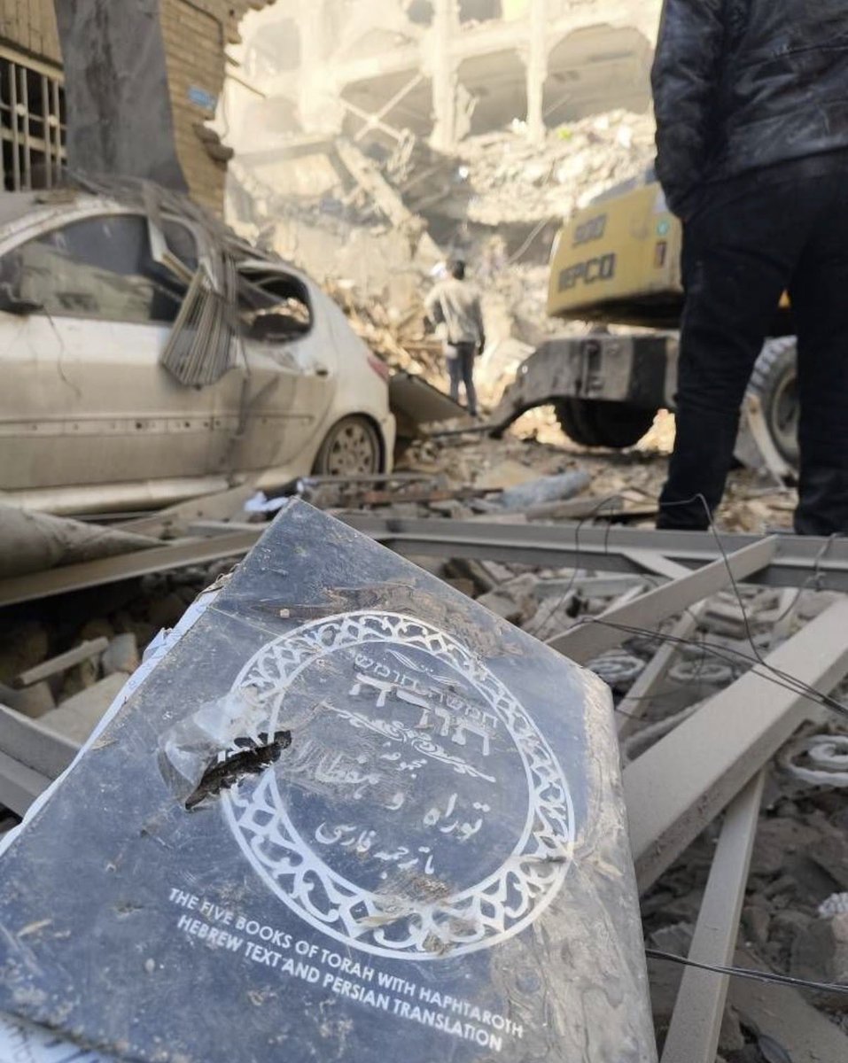 Samira Mohyeddin سمیرا tweet media