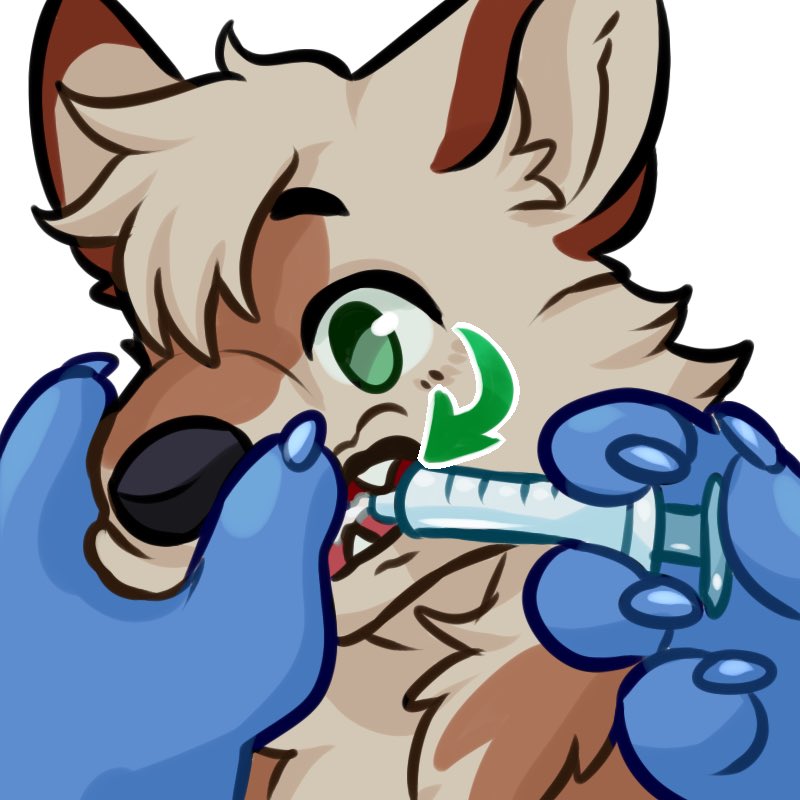 🔺Whole oat e 🔺 tweet media