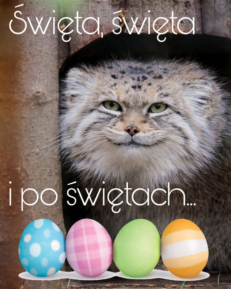 Medycyna sądowa tweet media