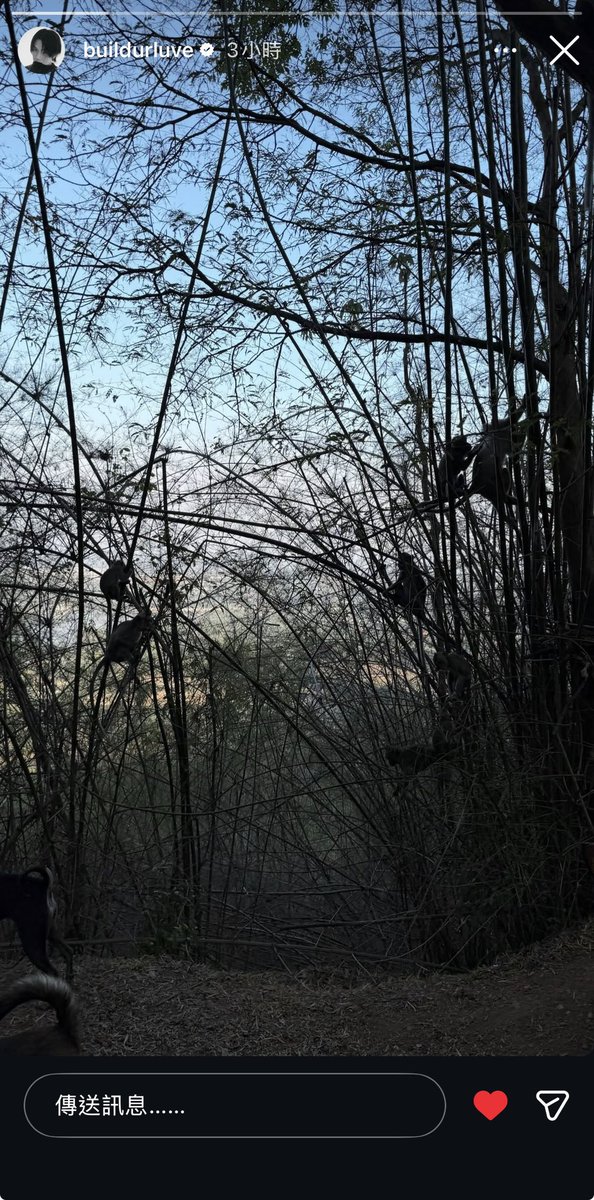 紫御夜妖VPBBB🖤💙 tweet media