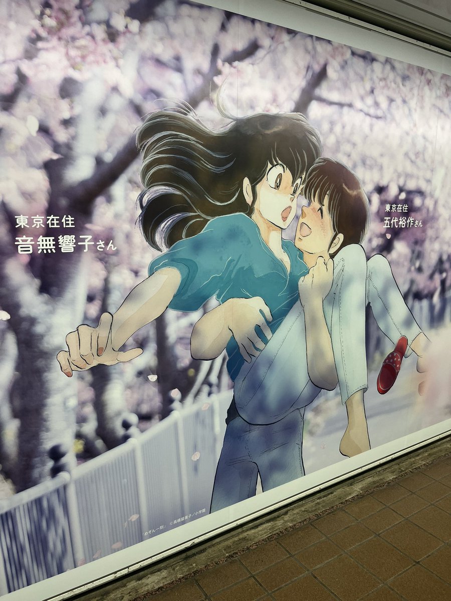 Maison Ikkoku Fan Account🌸🐤🌸 tweet media