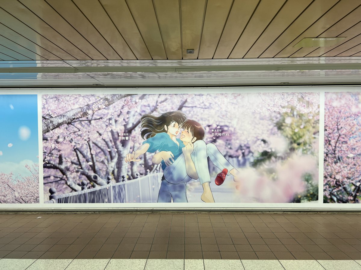 Maison Ikkoku Fan Account🌸🐤🌸 tweet media