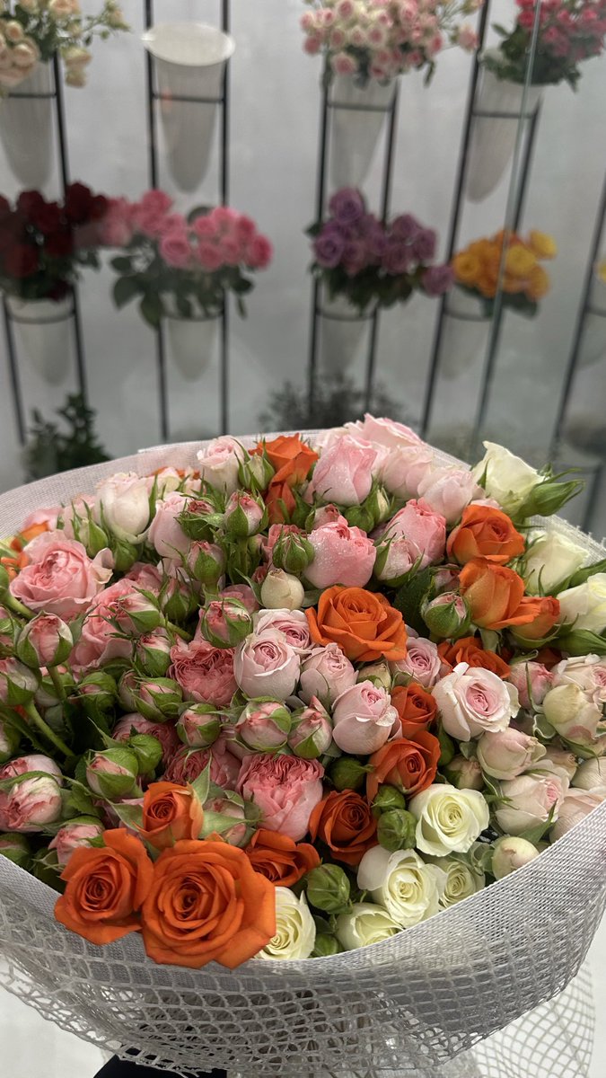 ᷂منى ᷂ᥫ᭡ tweet media