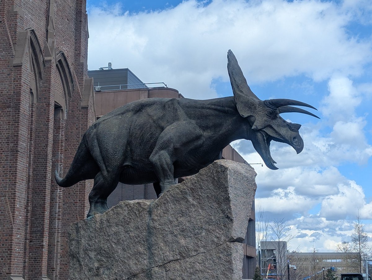 Ayaka Nagate / 長手 彩夏 tweet media