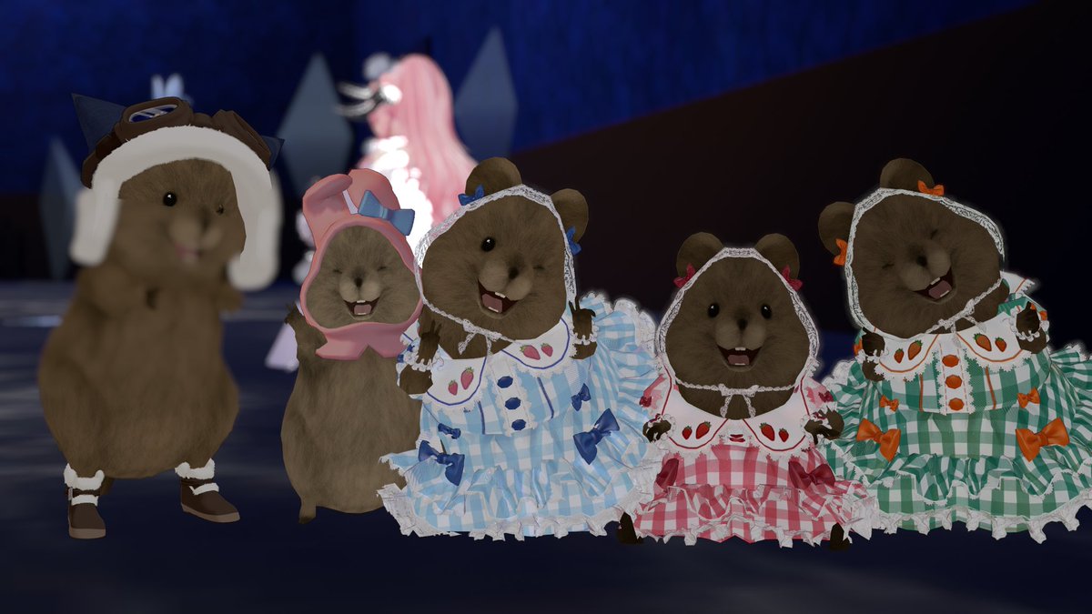 🐣ひなぴ🐥 tweet media