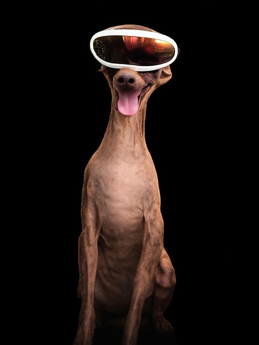 Cookedonsol tweet media