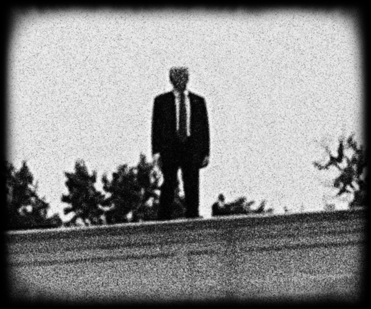 🇺🇸StrayDog™🇺🇸 tweet media