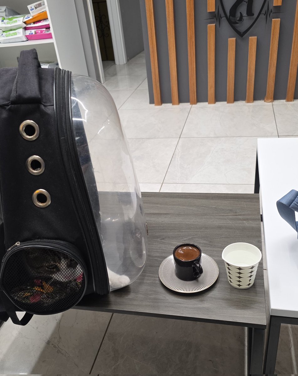 not ODDI tweet media