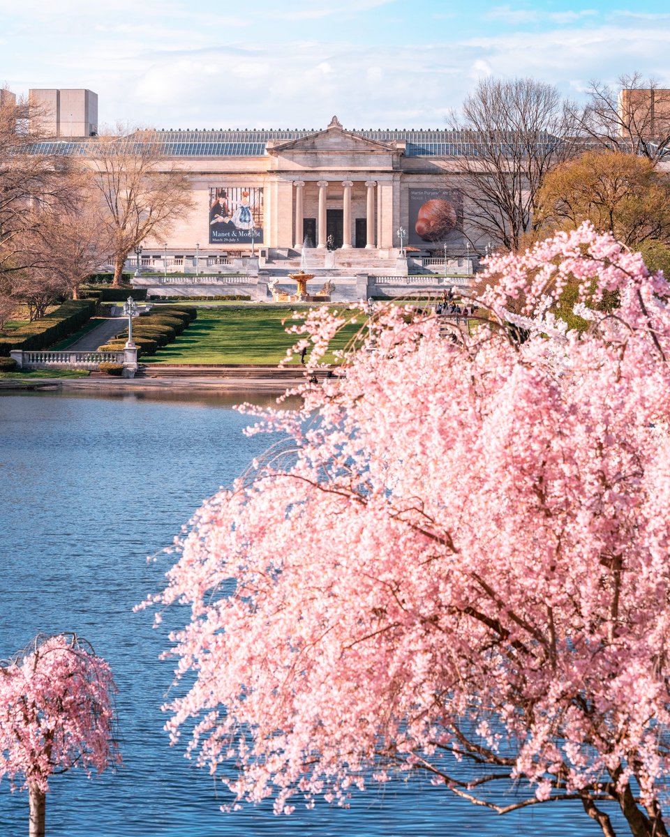 ClevelandArt's tweet photo. The South Doors are open, and the cherry blossoms have bloomed. Now THAT’S what we call Spring at the Cleveland Museum of Art. 🌸🌸🌸
 
Plan your perfect Spring CMA visit at https://t.co/My21leubSC.
 
📸: @GabeWasylko https://t.co/IMhycBR5Mo