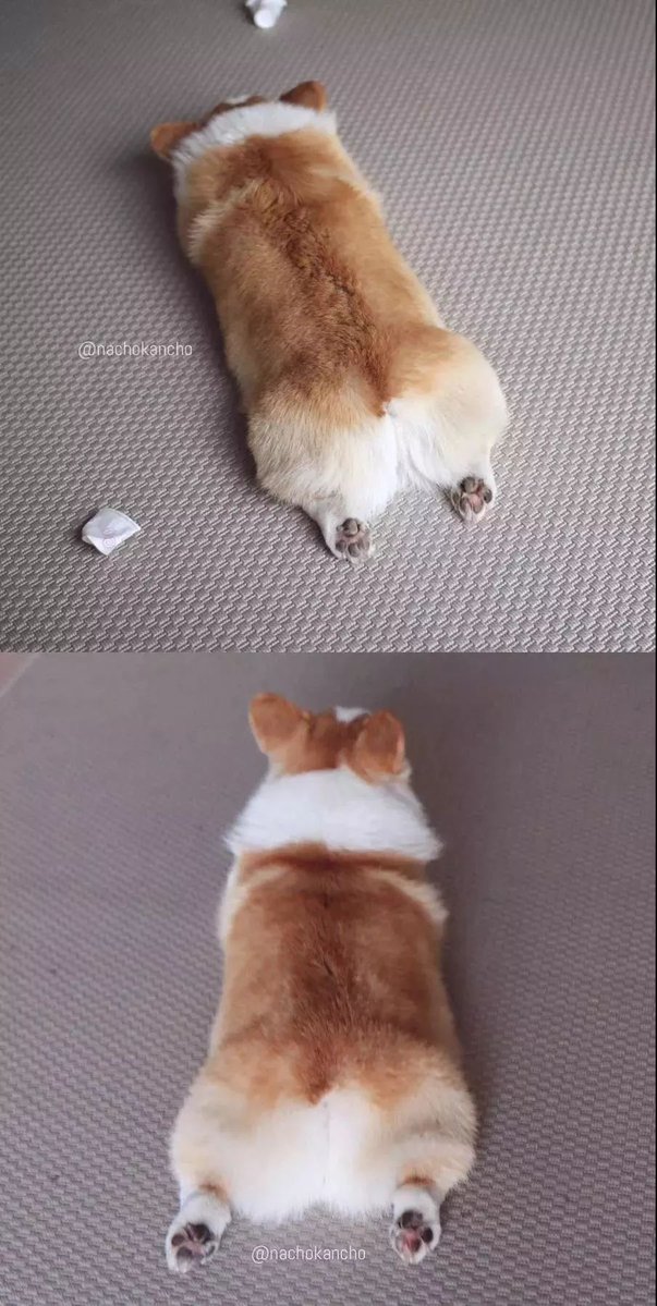 Amr nath Amr tweet media