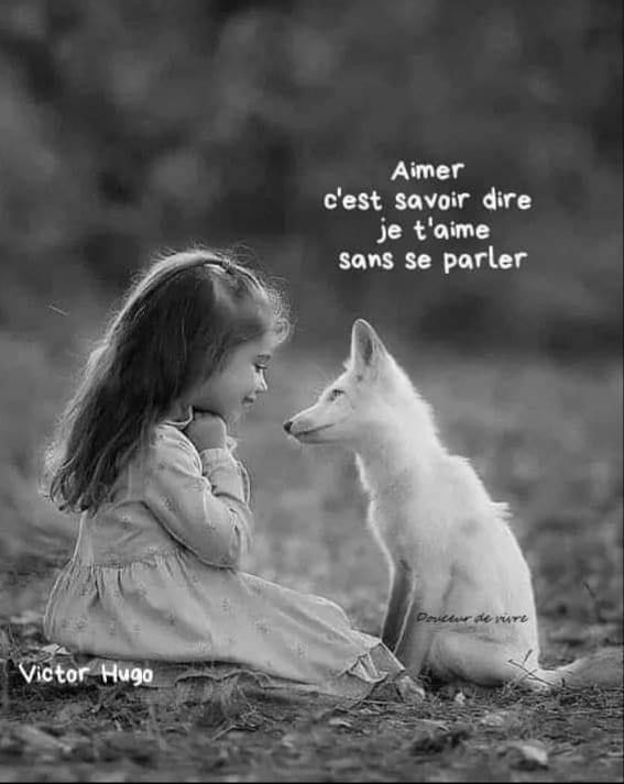 💙🤍❤️Choupie 😸 tweet media