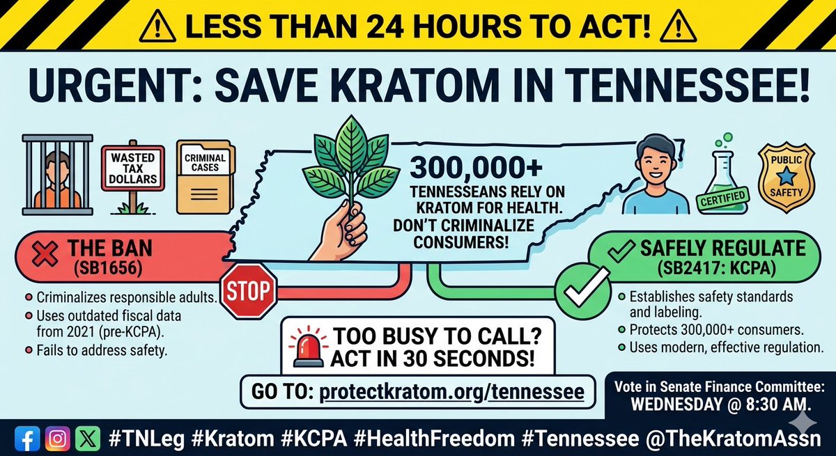 Mandy Webb tweet media