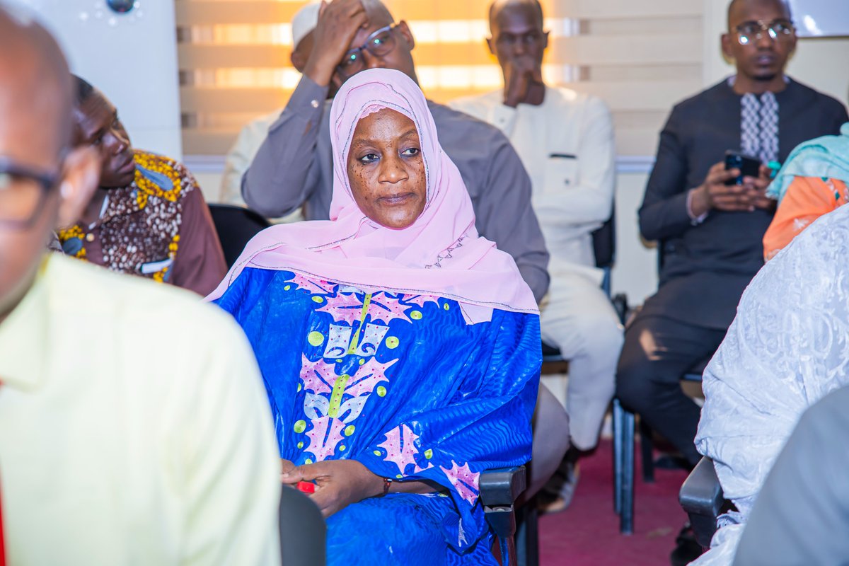 PNUD MALI tweet media