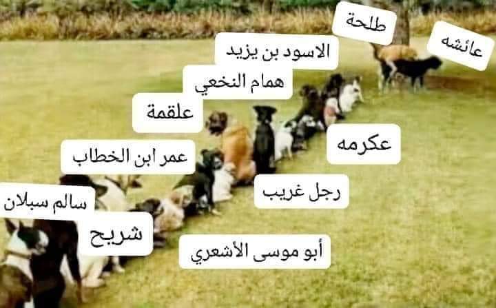 Muntadhar tweet media