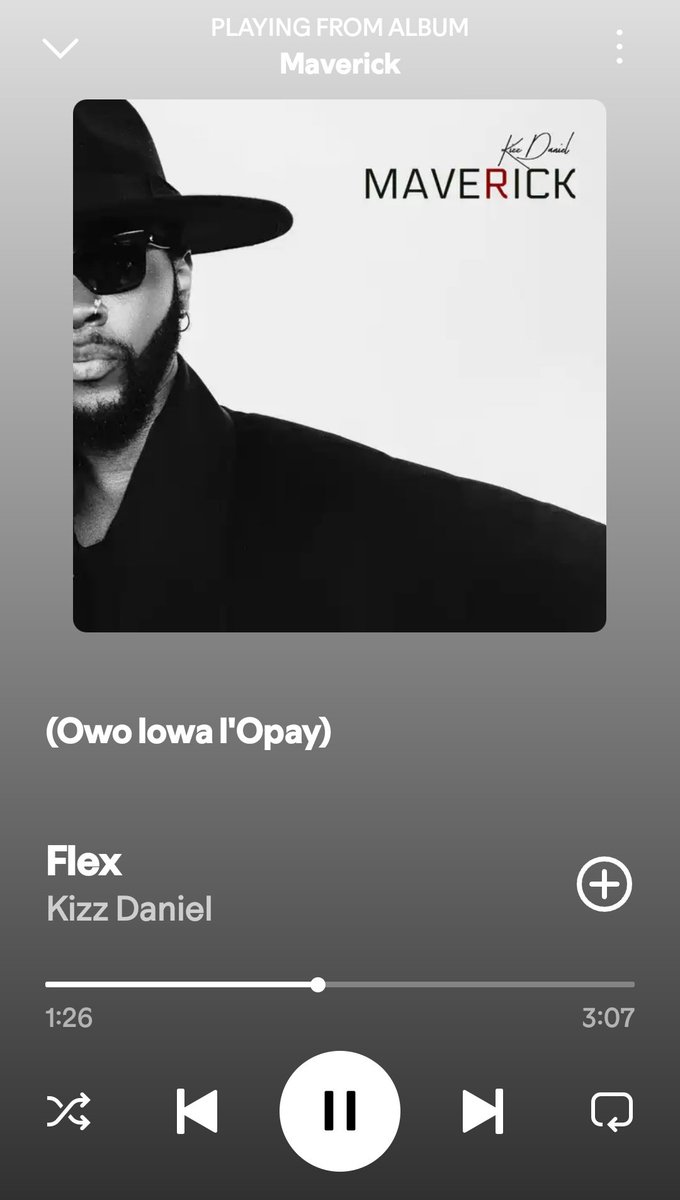Opay go talk say dem no see this song make dem use do ad. 

That opay adlib would make so much sense