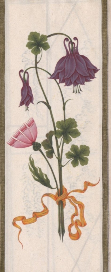 Harun Anay tweet media