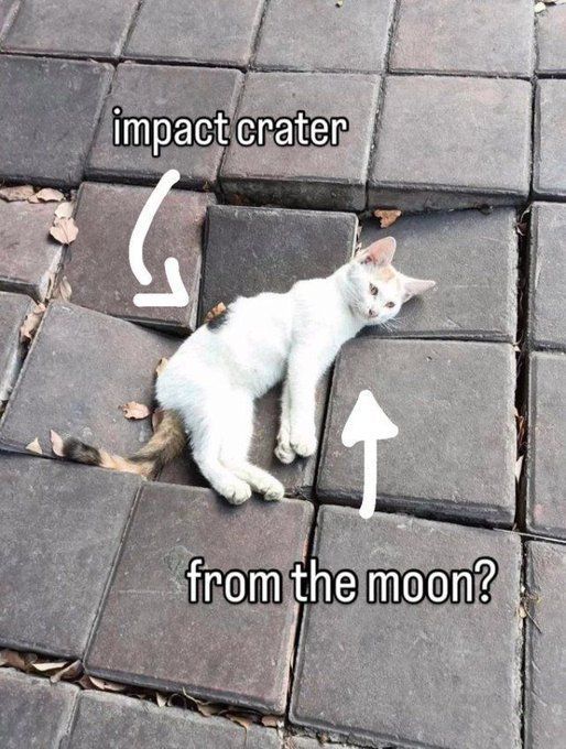 Insane Content tweet media