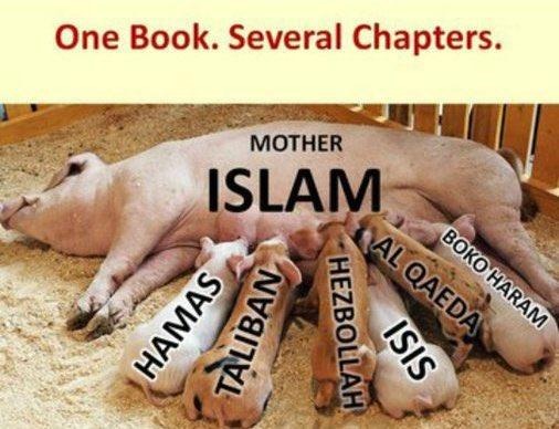 The Meme Merchant tweet media