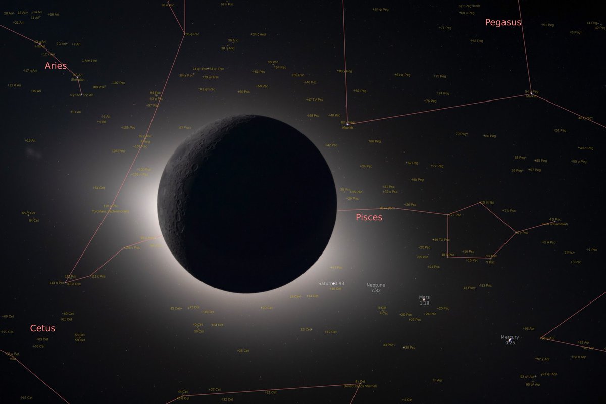 Yokin ✨🔭 tweet media