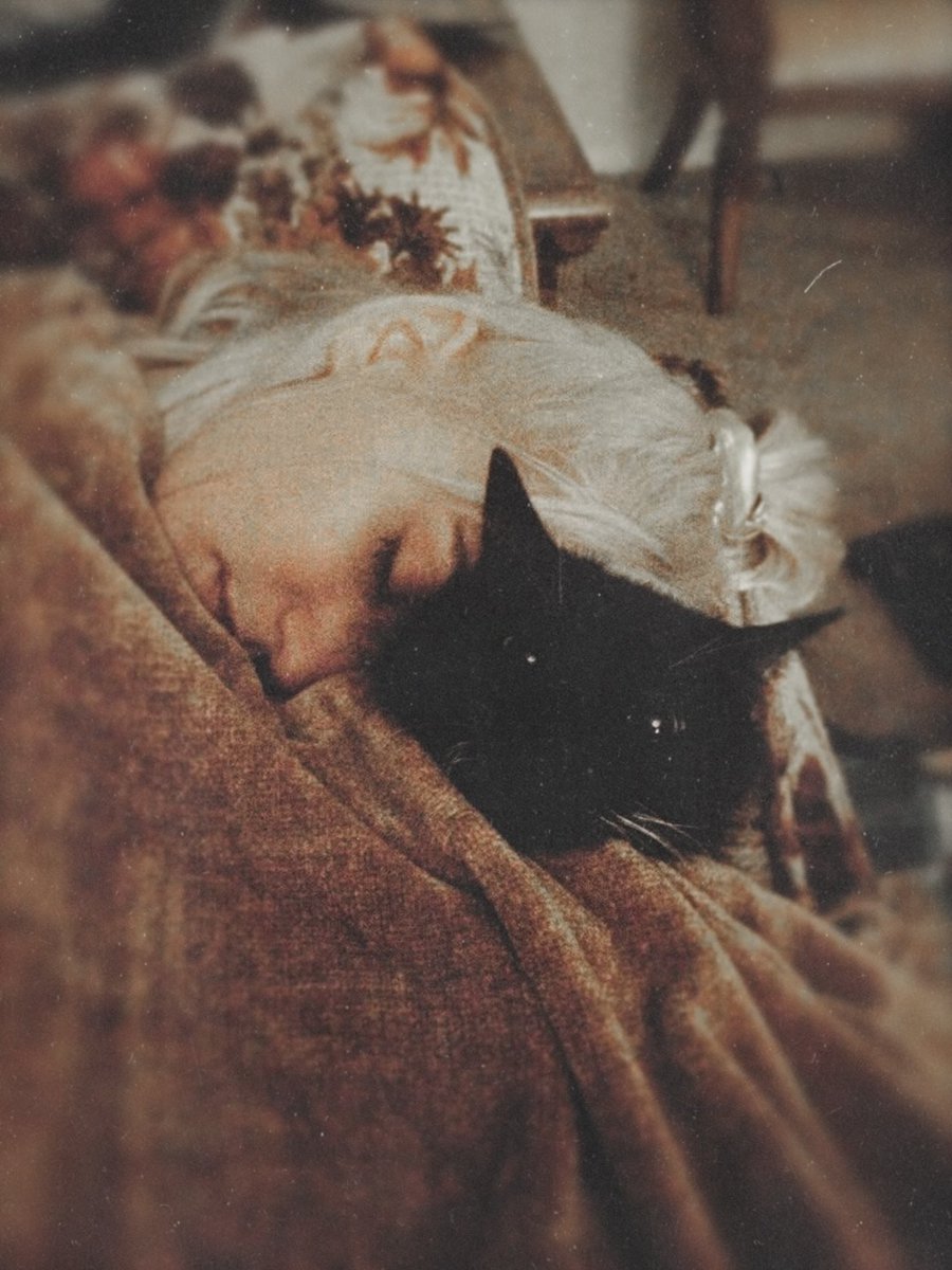 frankie🌱✨ tweet media