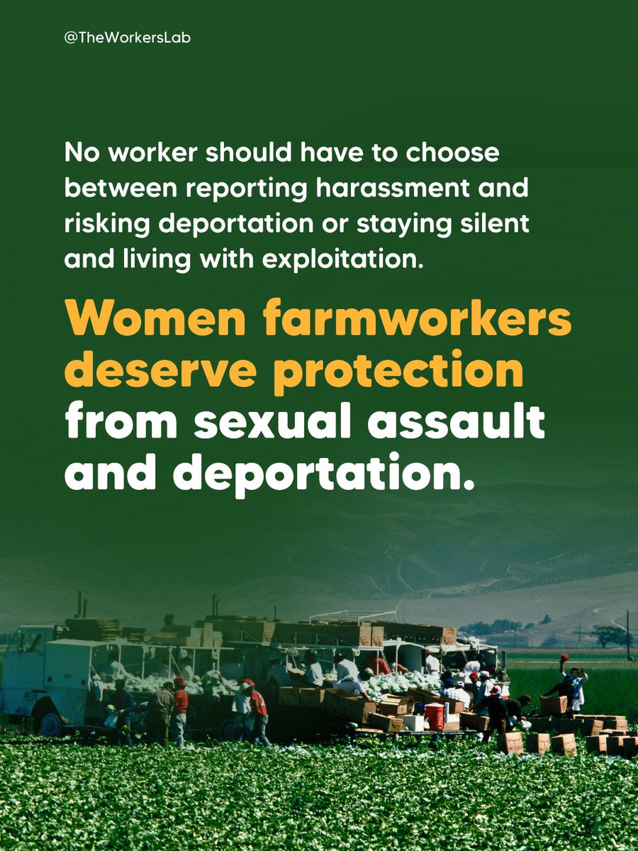 theworkerslab's tweet photo. 65–80% of women farmworkers have experienced sexual harassment or abuse on the job. And right now, a climate of fear is making it harder — not easier — to report it.

No worker should have to make that choice.

Source: The Progressive, Time

#LaborRights #ImmigrantWorkers https://t.co/SKmAd9Pwsu
