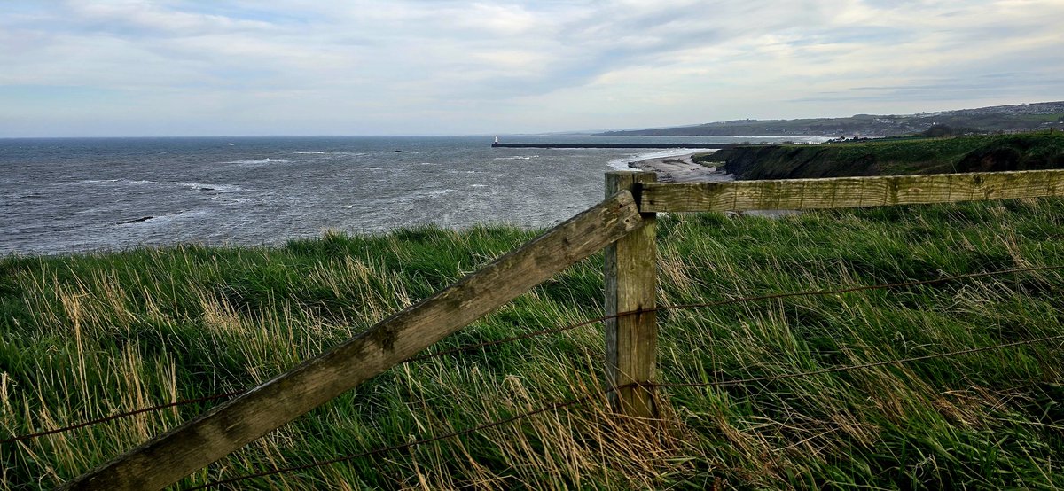 Quietbiglad's tweet photo. Slightly cooler evening in #Berwick this evening but pleasant non the less. #Northumberland #Lighthouse #Cliffs #Choppy https://t.co/HT30eDW1Hv
